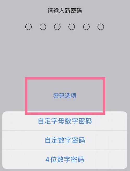 苹果iPhone 14plus可以设置手势密码吗?如何设置?