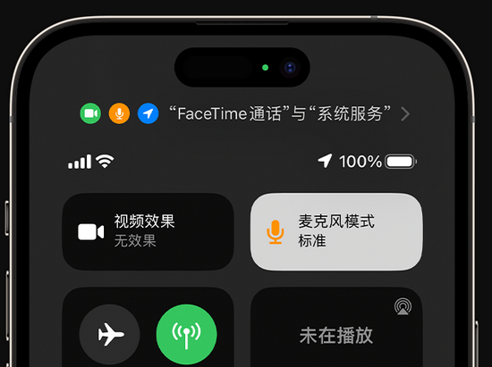 岳阳苹果授权维修网点分享iPhone在通话时让你的声音更清晰 