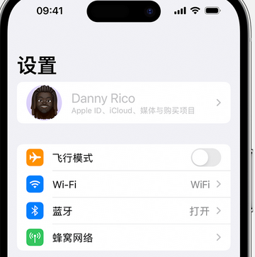 岳阳appleID维修服务iPhone设置中Apple ID显示为灰色无法使用 