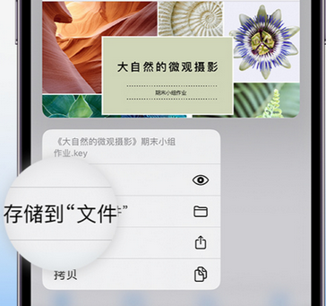 岳阳apple维修中心分享iPhone文件应用中存储和找到下载文件