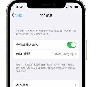 岳阳apple服务站点分享iPhone上个人热点丢失了怎么办