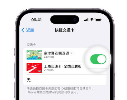 岳阳apple维修点分享iPhone上更换Apple Pay快捷交通卡手绘卡面 