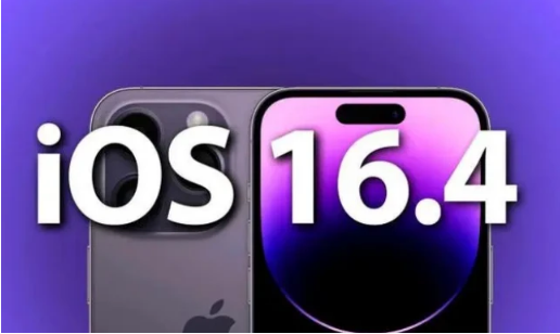 岳阳苹果14维修分享：iPhone14可以升级iOS16.4beta2吗？ 